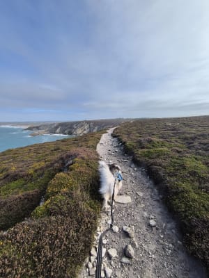 Petit tour du cap de la chèvre - Crozon - 16