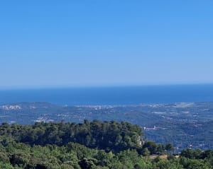 Escapade entre Saint-Vallier-de-Thiey et Cabris - Philippe - 7