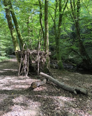 Promenade aux bords de l’Auzette - Pascale - 4