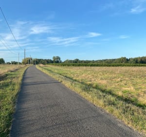 Petite marche à Civrac-de-Blaye - Aurore - 4