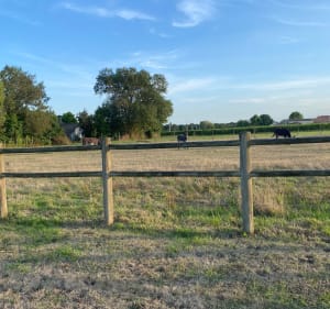 Petite marche à Civrac-de-Blaye - Aurore - 5