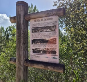 Balade au départ du camping riez à la vie - Zohra - 2