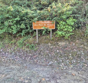 Balade au départ du camping riez à la vie - Zohra - 3