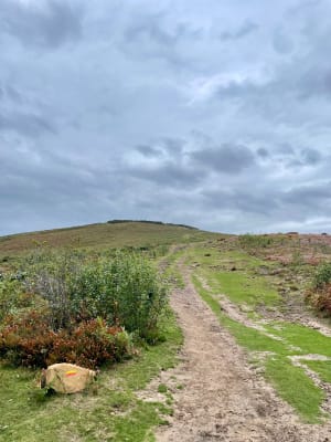 Sare - Bizkarzun - Suhalmendi - Sare - Sare - 7