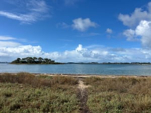Île aux moines et celtitudes méridionales - BRUNO - 8