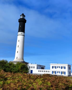Zee, lucht, Sein-eiland en azuurblauwe vleugels - Jérôme - 5