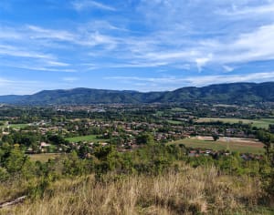 Le causse, Caucalières - Aline - 6