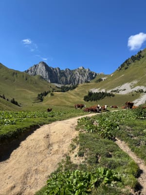 Les lacs de Neuteu et Darbon au départ de Bise - Cynthia - 9
