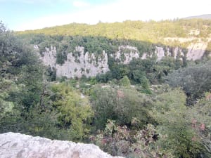 Berrias-et-Casteljau et la découverte du bois de Païolive - Berrias-et-Casteljau - 10