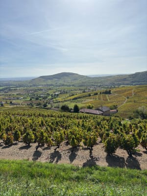 Les 3 châteaux de Quincié-en-Beaujolais, circuit 1 - Auréline - 3