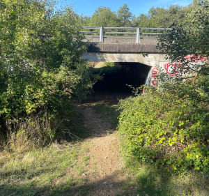 Rando en forêt de Benon - Remi TreknRando - 3