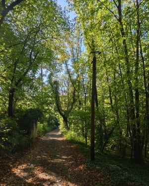 La Vallée du Sausseron - Nathalie - 11