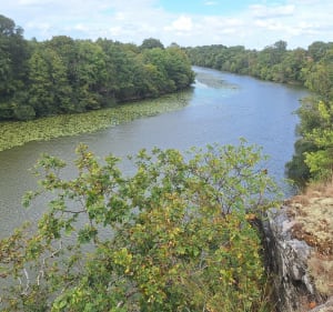 Circuit de la lande du Don à Moisdon-la-Rivière - Marie - 2
