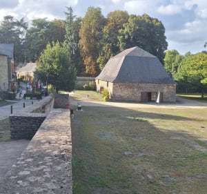 Circuit de la lande du Don à Moisdon-la-Rivière - Marie - 3