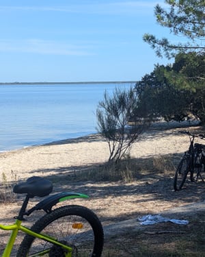 Boucle des Cavalles par Maubuisson et Carcans-Plage, à vélo - luc - 3