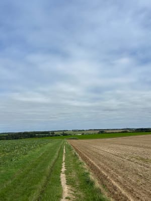 Rando dans la plaine de Fontenay et Rolleville - Fontenay - 7