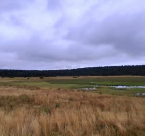Étang de Barandon depuis les Sagnes et Roc des Chiens Fous - Mont Lozère et Goulet - 3