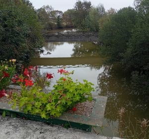 Tour des marais par St-Hilaire, depuis Notre-Dame-de-Riez - JEAN JACQUES - 3