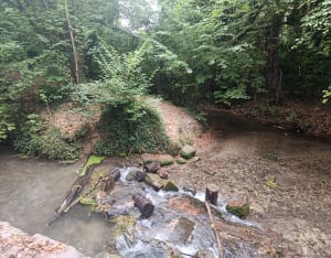 Montdidier en zijn wandeling langs de Trois Doms - Sabrina - 2