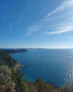Filer jusqu'à la pointe du Dattier au bord de l'eau - Cavalaire-sur-Mer - 3