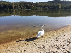 Grolejac-meer - Slimane - 3