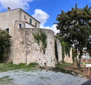 Le Sentier des Peux - Gerald - 2