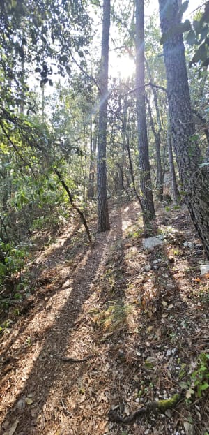 Autour de Figanières, vue sur le Haut Var - Michel - 6