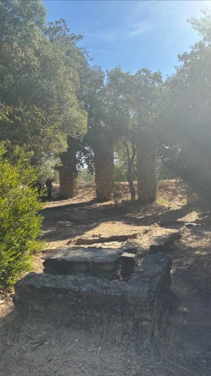 Roquebrune-sur-Argens : découverte de l'aqueduc des 25 ponts - CATHERINE - 6