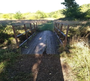 Balade forêt de Saint Eutrope avec ou sans chiens - Fleury-Mérogis - 6