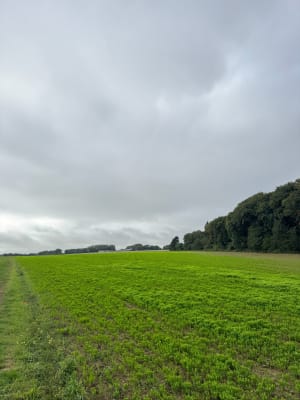 Le domaine des Hogues - Benjamin - 7