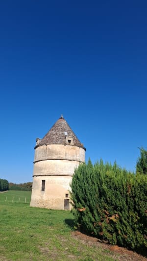Entre Bommes domaine de la Gauche Rayne Vigneau  et le Château d'Arche - Fabienne - 6