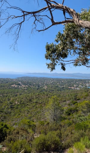 Le Crapa de St Raphaël - Saint-Raphaël - 7