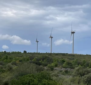 Balade dans les sentiers de la palme - ANGÉLIQUE - 4