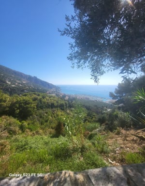 Mounta cala sur Garavan - Celine - 7