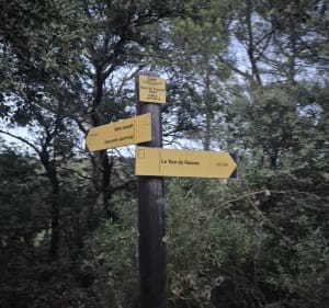 Marche au crépuscule vers la tour Faucon - Mickaël - 2