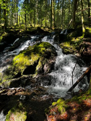 Circuit de la cascade de la Goutte des Saules - VALERIE - 4
