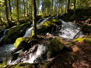 Circuit de la cascade de la Goutte des Saules - VALERIE - 5