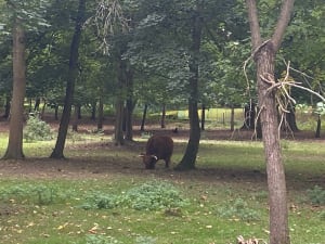 Petite balade dans Yerres - Andreanne - 6