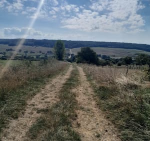 Saint Walfroy - Audrey - 4