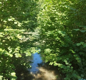 Neufvy sur Arondes - Morgan - 4