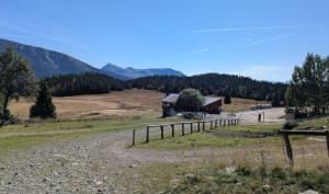 Tourbière du Plateau de L'Arselle, depuis Epicéas - Jérôme - 3