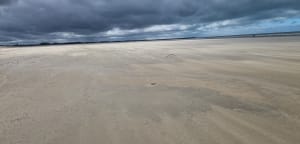 Gravelines Bords de mer - Virginie - 3