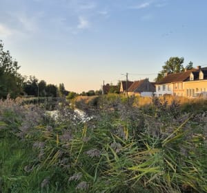 Sur les bords de l'Aa - Cedric - 3