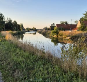 Sur les bords de l'Aa - Cedric - 4