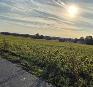 Sur les bords de l'Aa - Cedric - 2