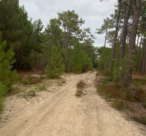 Sentier de la Mailloueyre - CHANTAL - 4