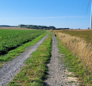 Chemin des Éoliennes entre Busigny et Honnechy - Laëtitia - 2