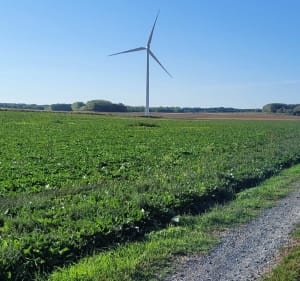 Chemin des Éoliennes entre Busigny et Honnechy - Laëtitia - 3
