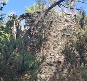 L'étang de la Vallée - Saint-Jacut-les-Pins - 3