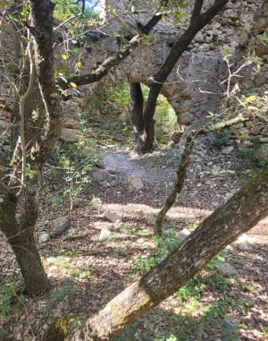 Le haut Latay, au départ de Chibron à Signes - Andree - 5